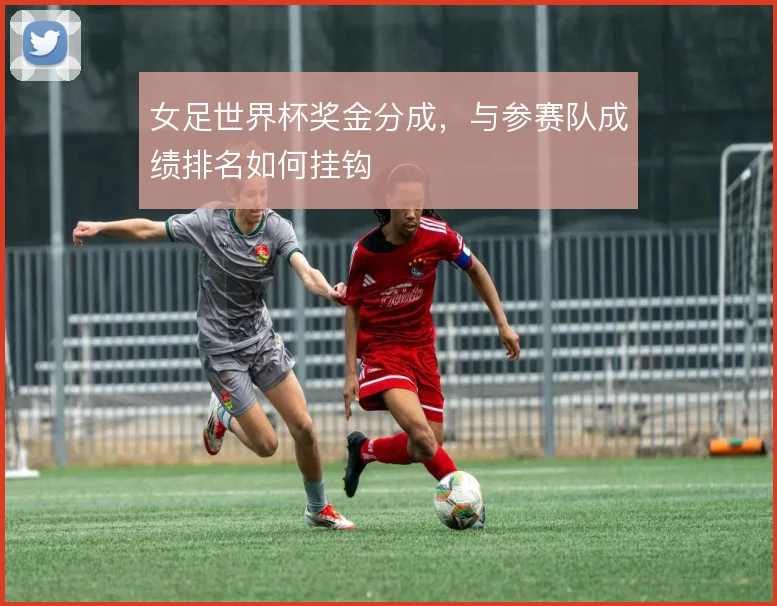 女足世界杯奖金分成，与参赛队成绩排名如何挂钩